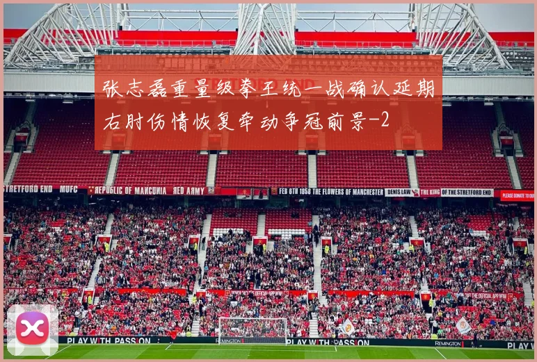张志磊重量级拳王统一战确认延期右肘伤情恢复牵动争冠前景