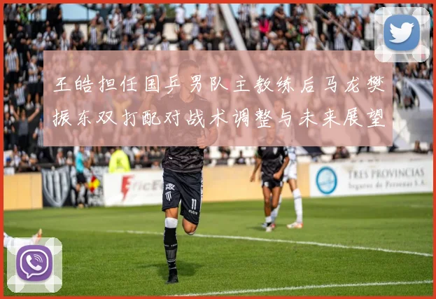 王皓担任国乒男队主教练后马龙樊振东双打配对战术调整与未来展望深度解析