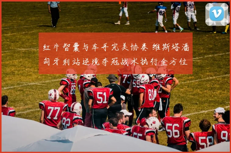 红牛智囊与车手完美协奏 维斯塔潘匈牙利站逆境夺冠战术执行全方位复盘