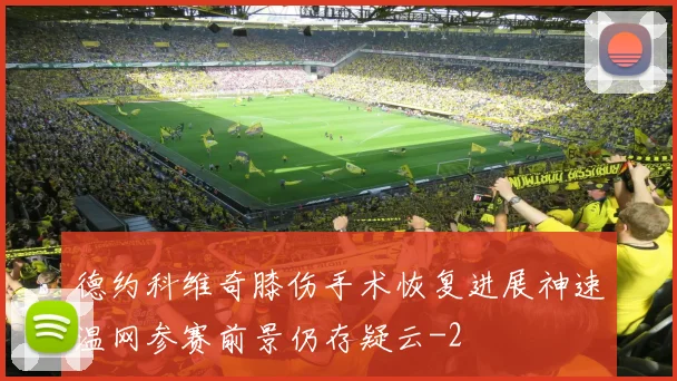 德约科维奇膝伤手术恢复进展神速温网参赛前景仍存疑云