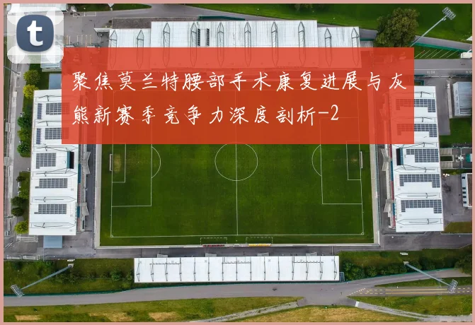 聚焦莫兰特腰部手术康复进展与灰熊新赛季竞争力深度剖析