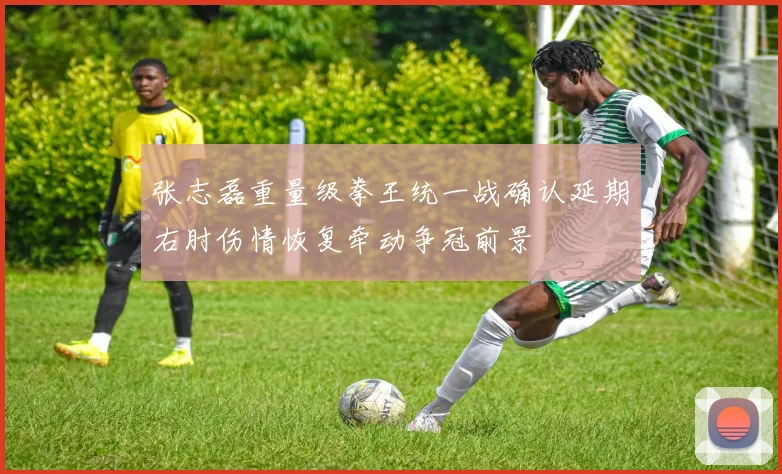 张志磊重量级拳王统一战确认延期右肘伤情恢复牵动争冠前景